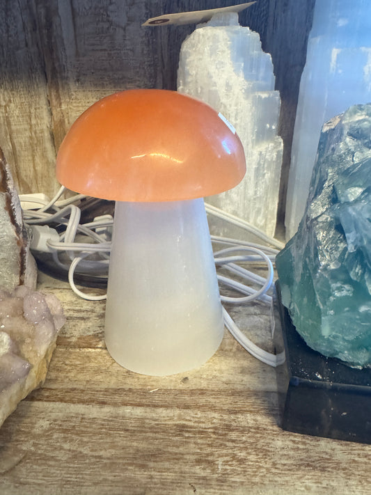 Selenite Mushroom Lamp